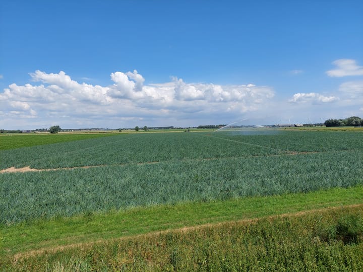 Buitendijk, Strijen