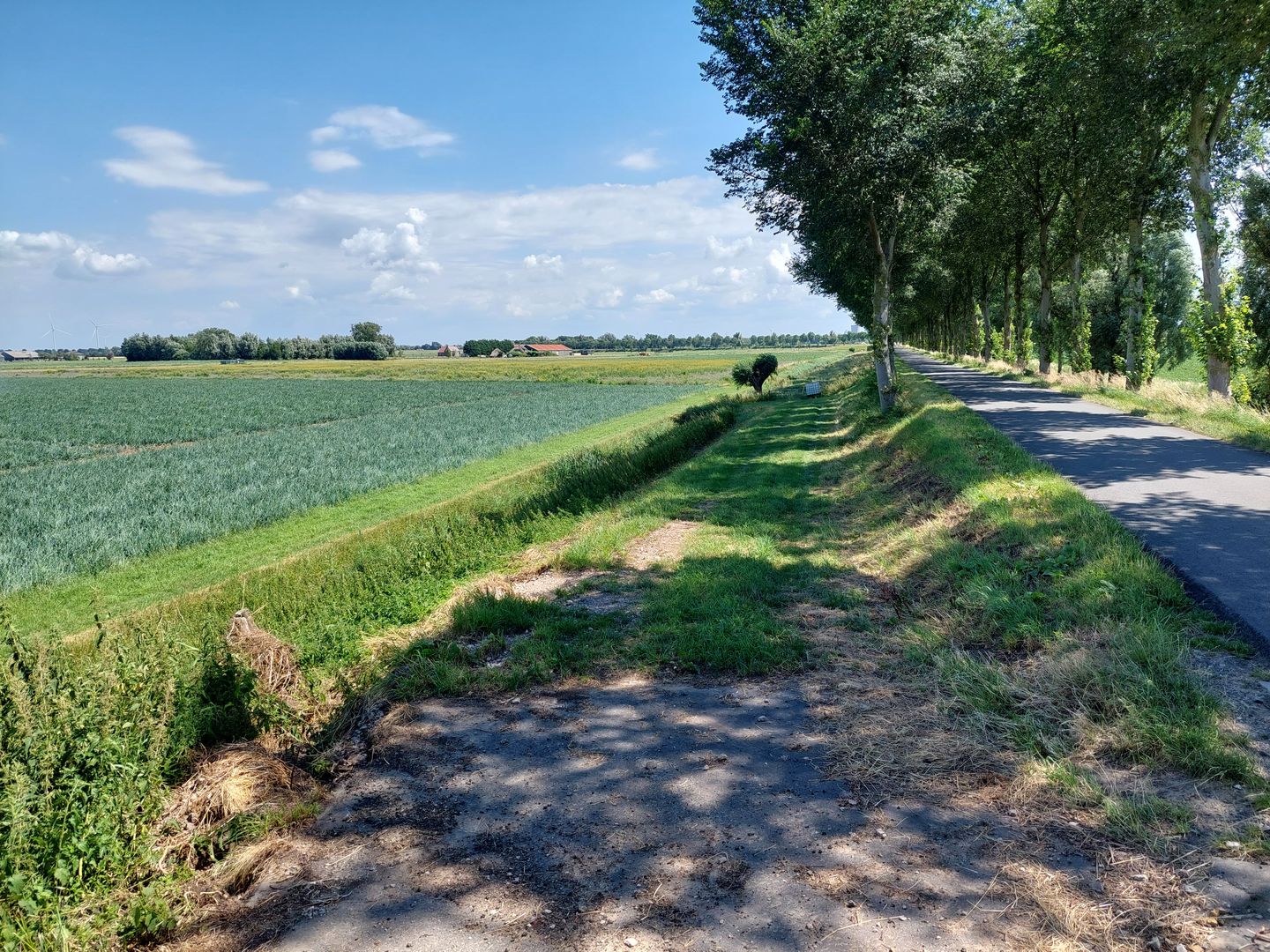 Buitendijk - Strijen - Afbeelding 5