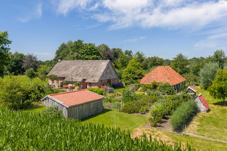 Rietweg thumbnail