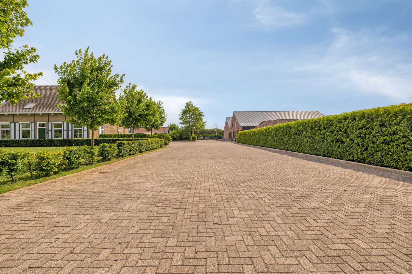 View photo 3 of Tholenseweg 29