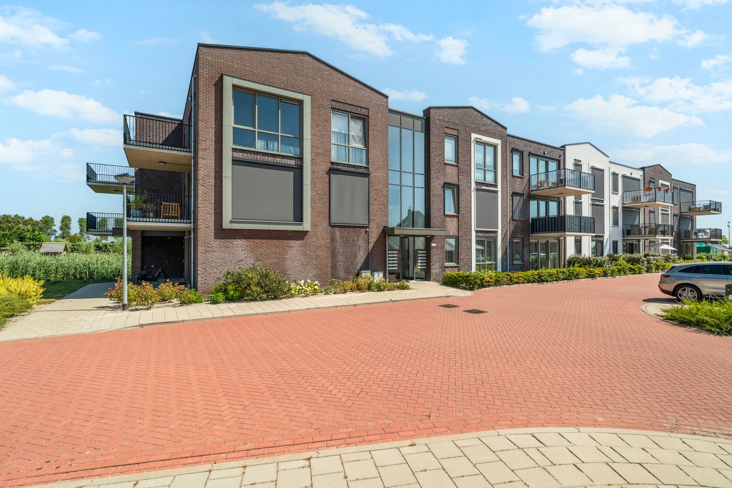 Foto 5 van Lenteklokje 11