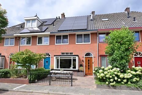 Professor De Jongstraat thumbnail