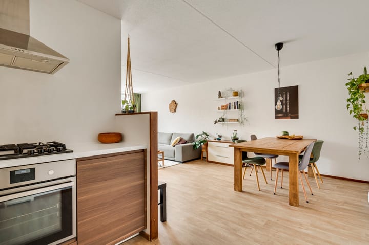 Appartement te koop: Erasmusdomein 12B, Maastricht