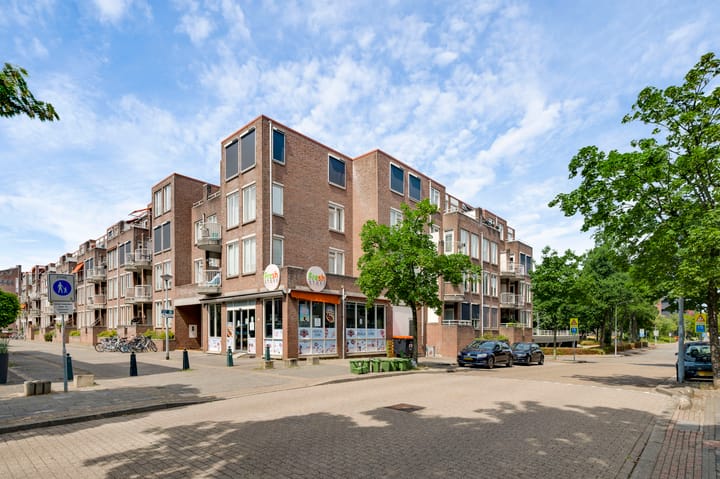 Appartement te koop: Erasmusdomein 12B, Maastricht