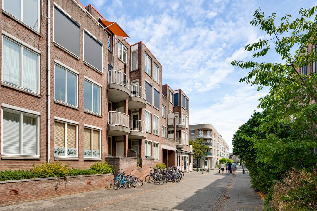 Foto 1 van Erasmusdomein 12-B