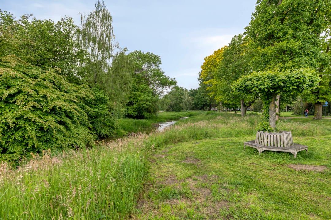 Photo 41 of De Weijenbergh 46