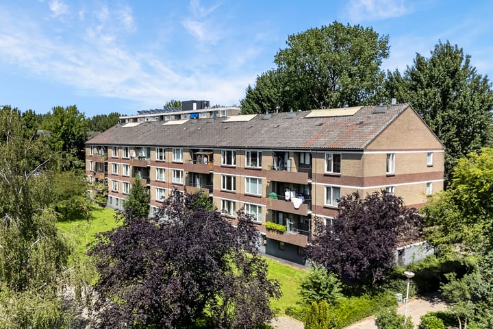 Photo 4 of Ariaplein 94