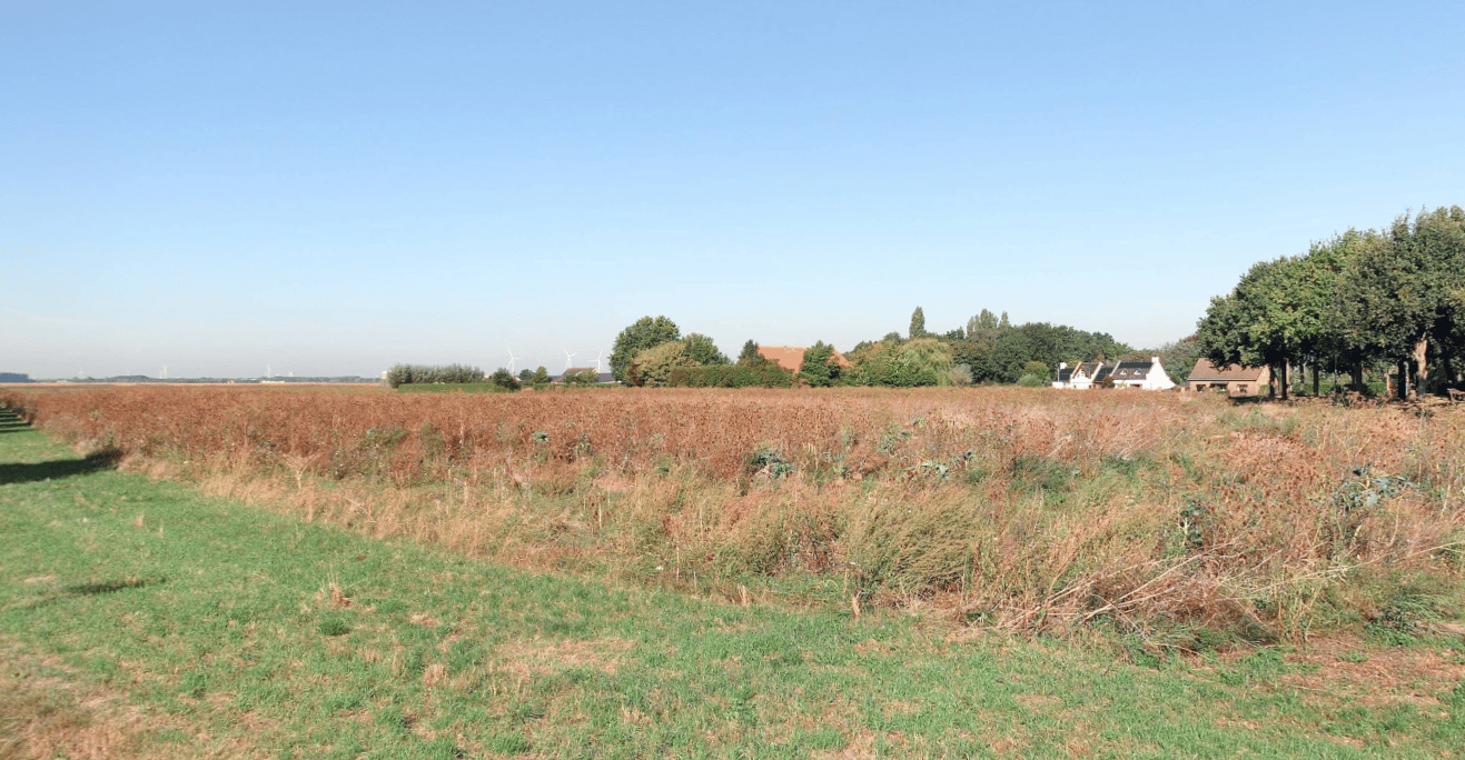 View photo 2 of Verlengde Zandstraat