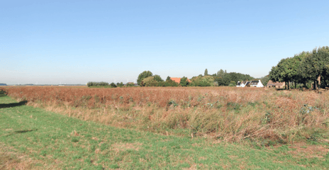 View photos