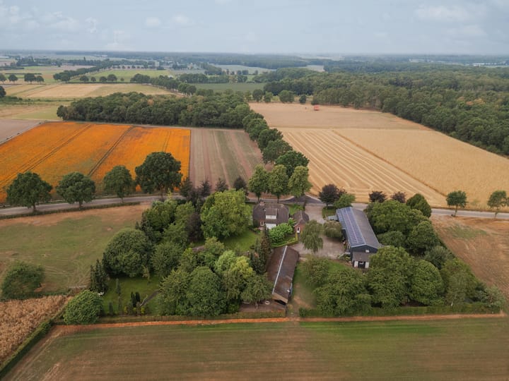 Foto 3 van Veld-Oostenrijk 28
