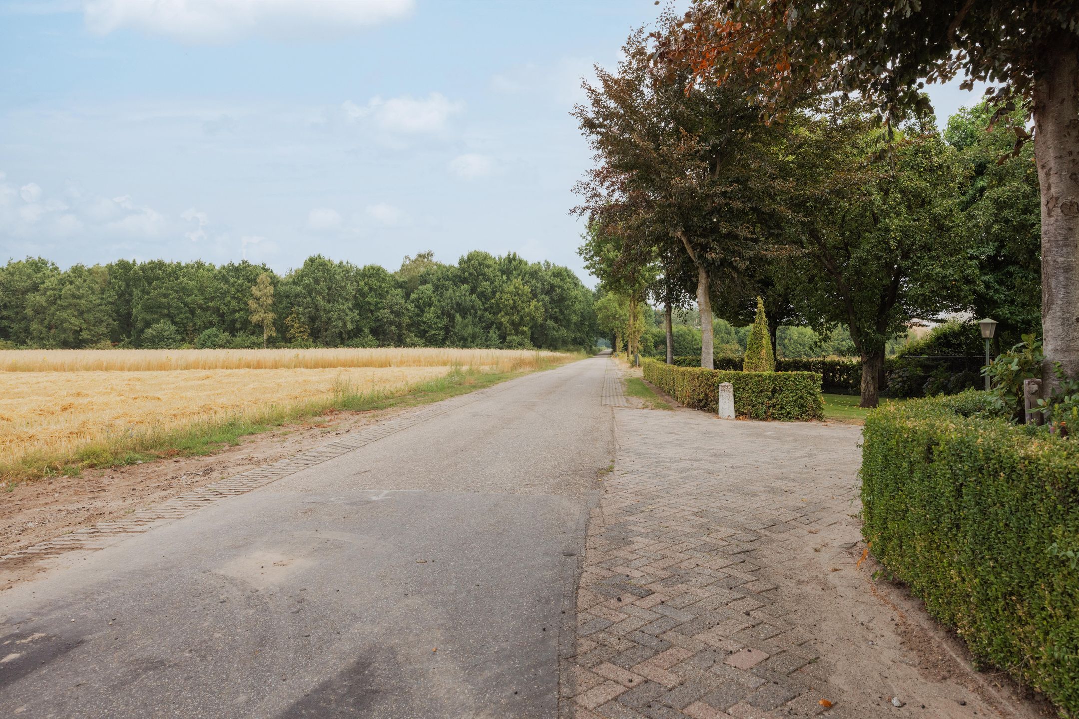 Foto 93 van Veld-Oostenrijk 28