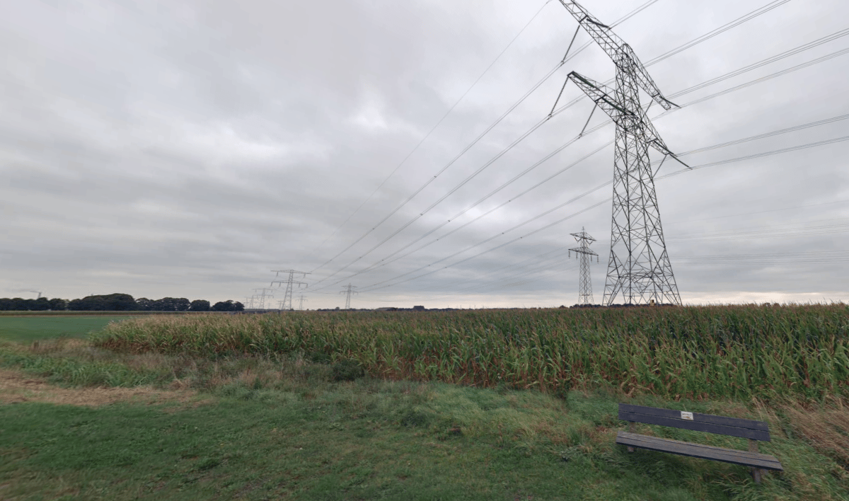 View photo 3 of Wilgenweg