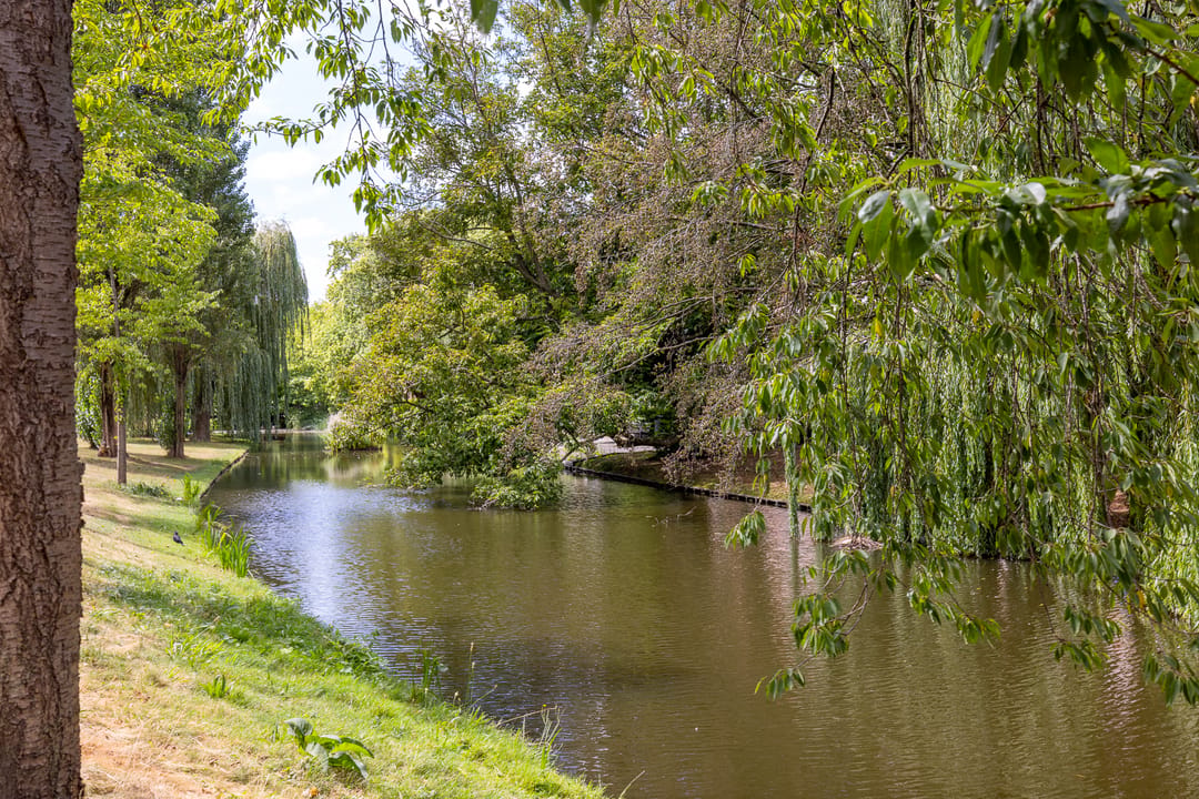 Foto 46 van Provenierssingel 18-A