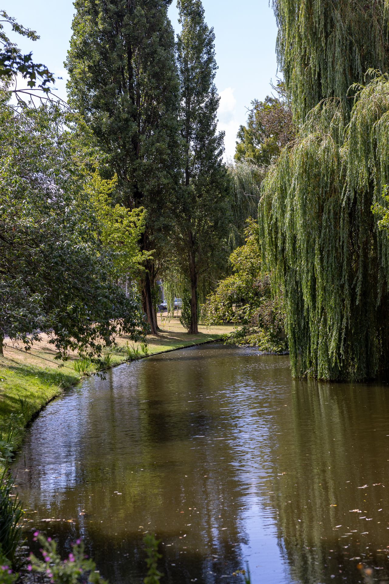 Foto 44 van Provenierssingel 18-A