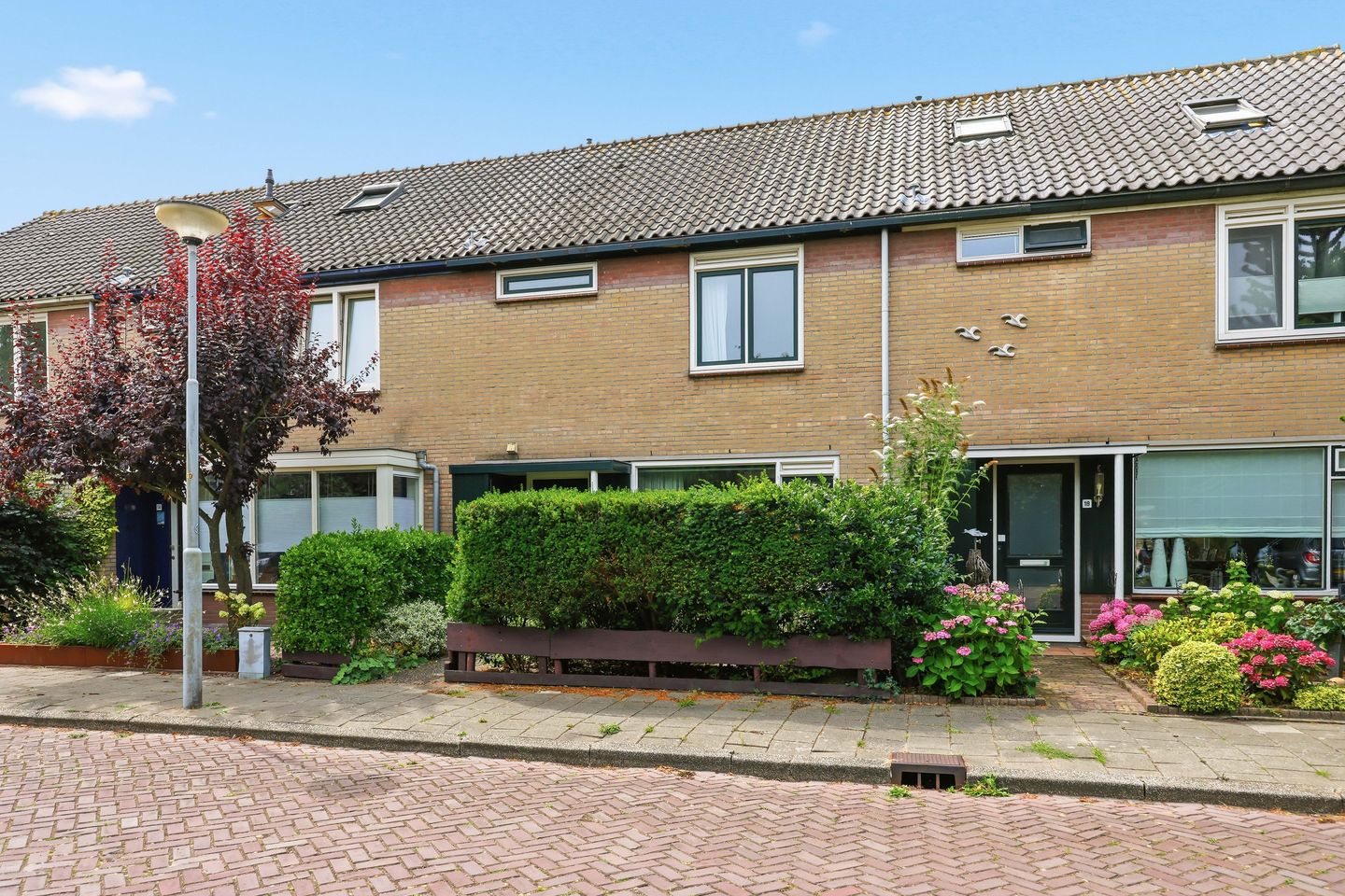 Foto 1 van Denemarkenstraat 16
