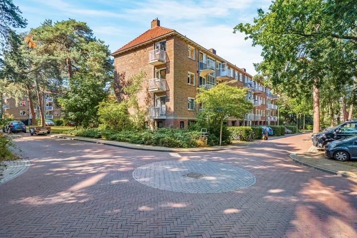 Appartement te koop: Kappeyne van de Coppellolaan 54A, Amersfoort