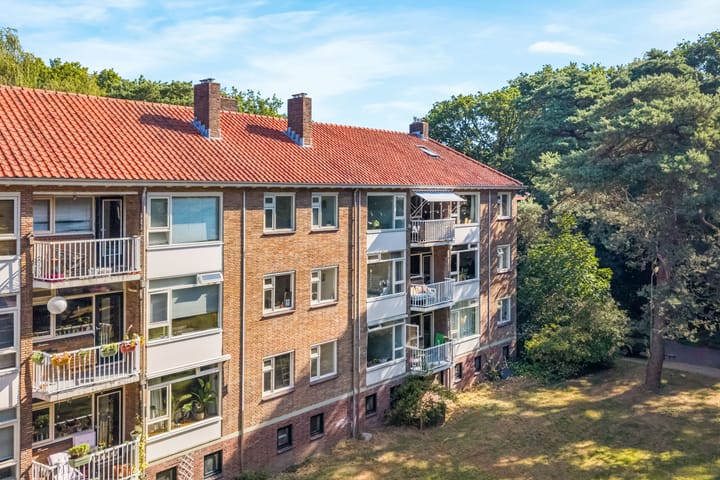 Appartement te koop: Kappeyne van de Coppellolaan 54A, Amersfoort