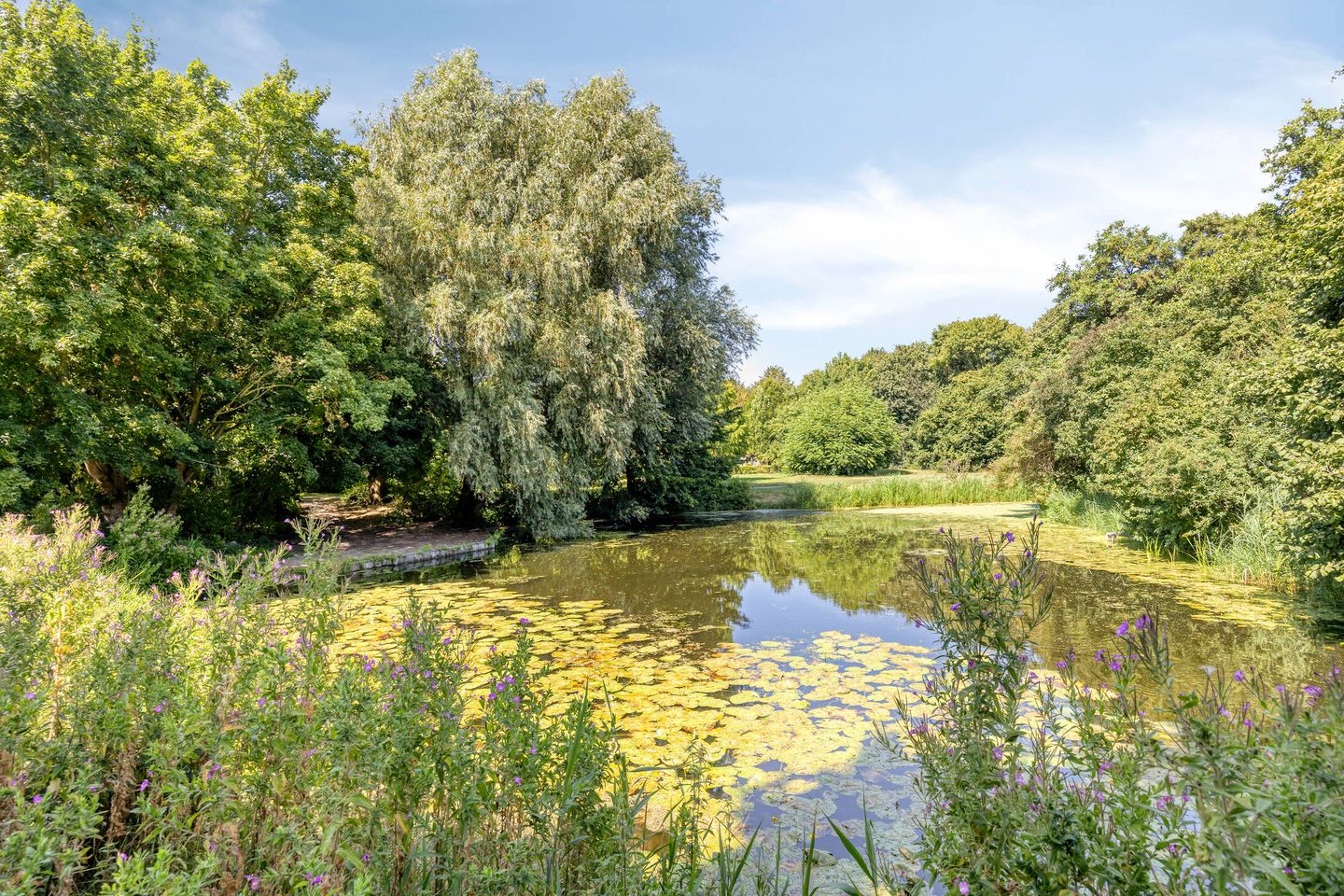 Photo 29 of Rietzanger 16
