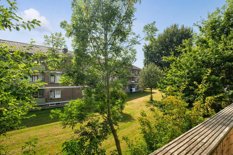 Peppelweg thumbnail
