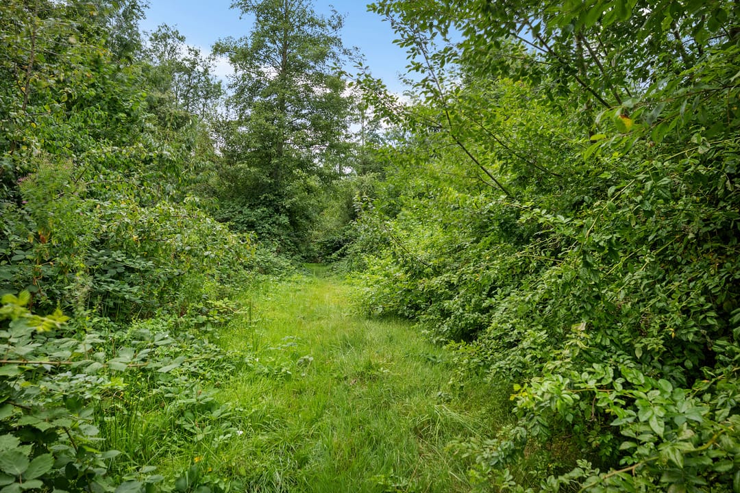 Foto 41 van Noorderlaan 27-B