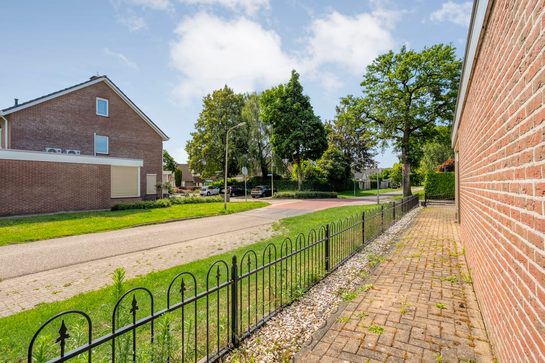 Photo 13 of Goudplevier 2