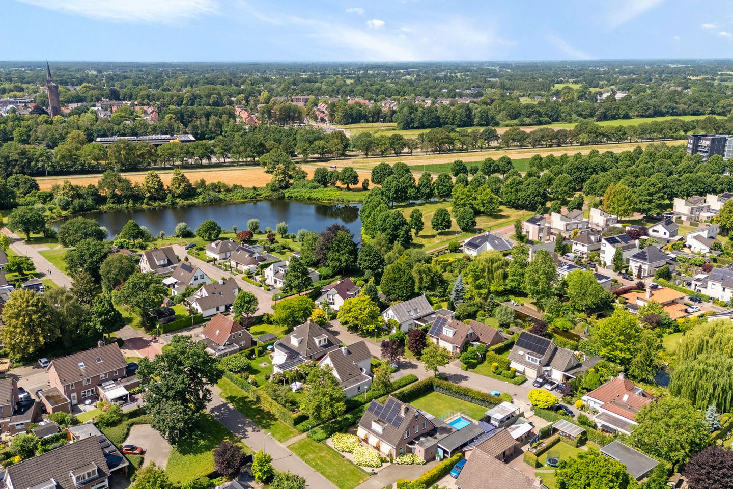 Photo 4 of Goudplevier 2