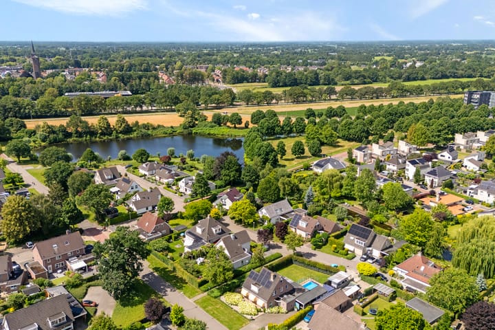 Foto 4 van Goudplevier 2