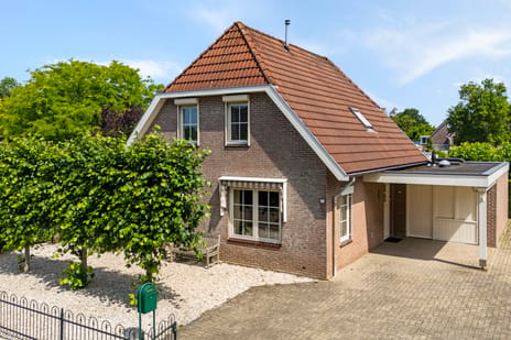 Goudplevier thumbnail