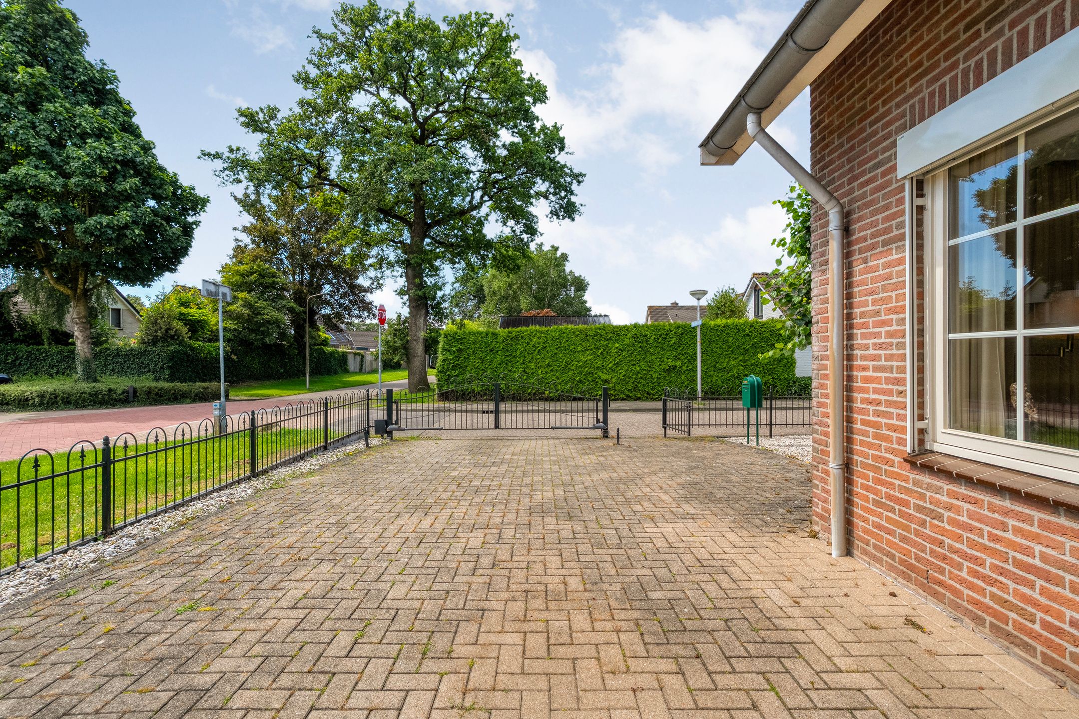 Photo 12 of Goudplevier 2