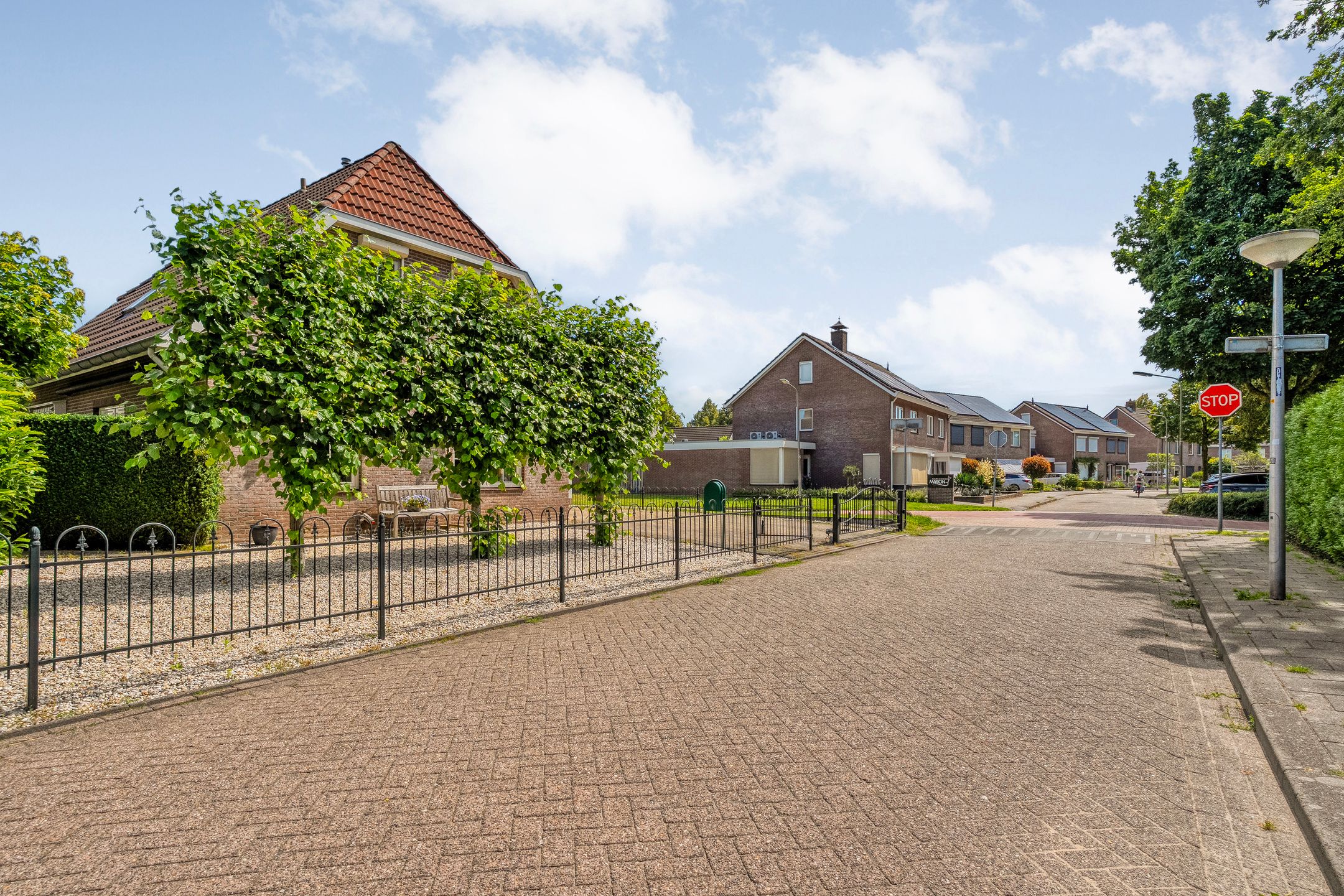 Photo 6 of Goudplevier 2