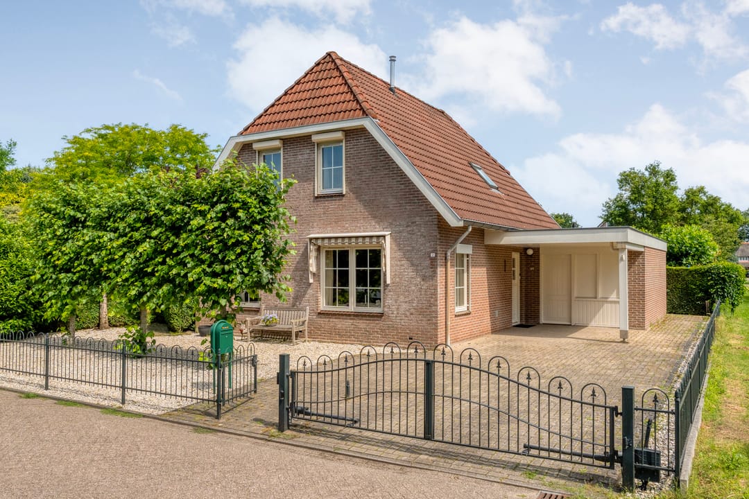 Photo 2 of Goudplevier 2