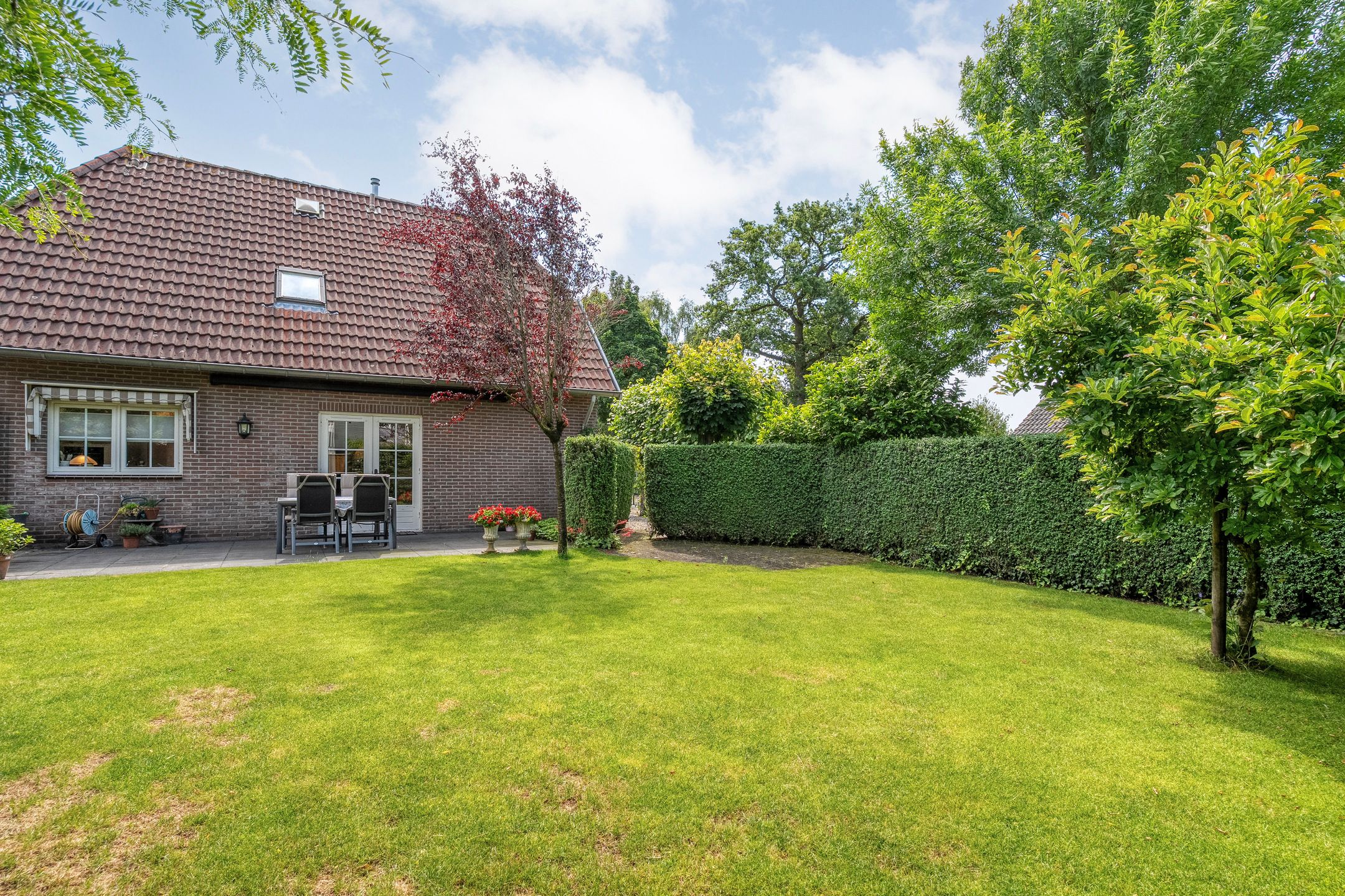 Photo 66 of Goudplevier 2