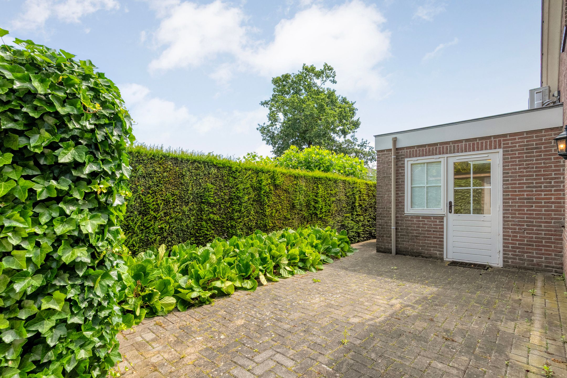 Photo 54 of Goudplevier 2