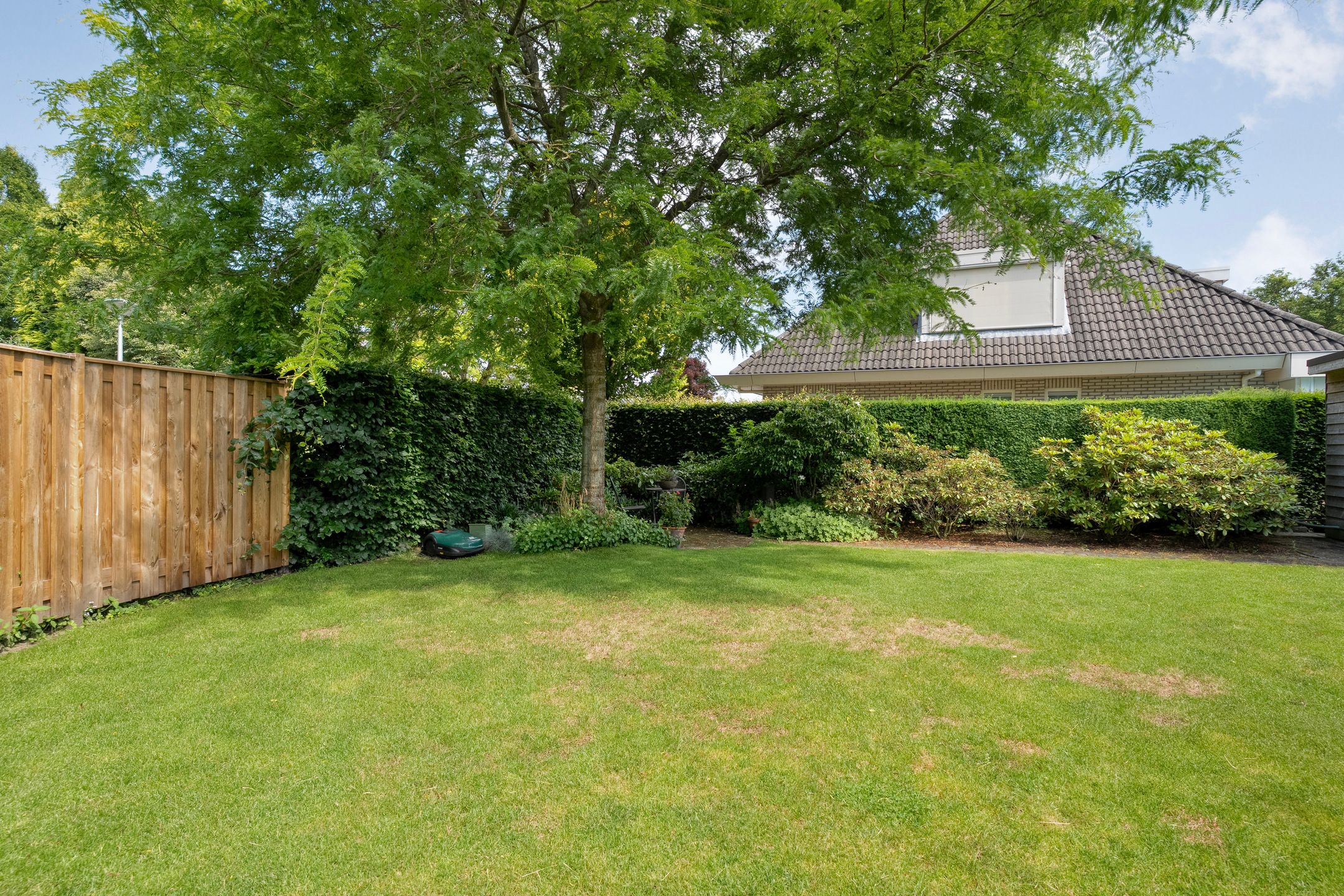 Photo 63 of Goudplevier 2