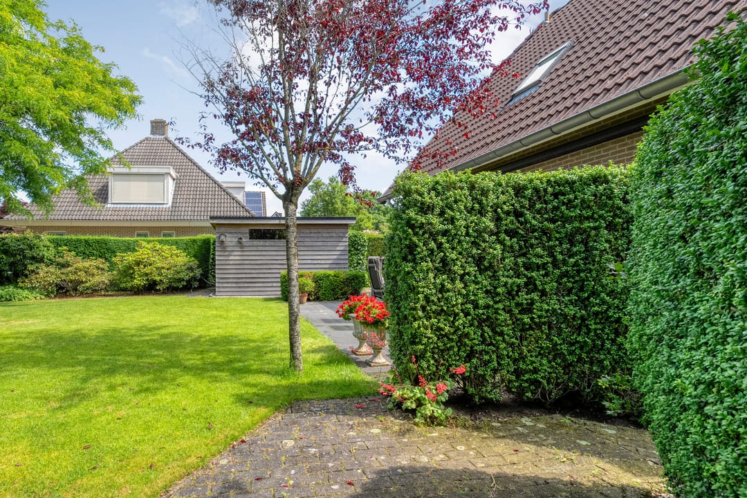 Photo 61 of Goudplevier 2