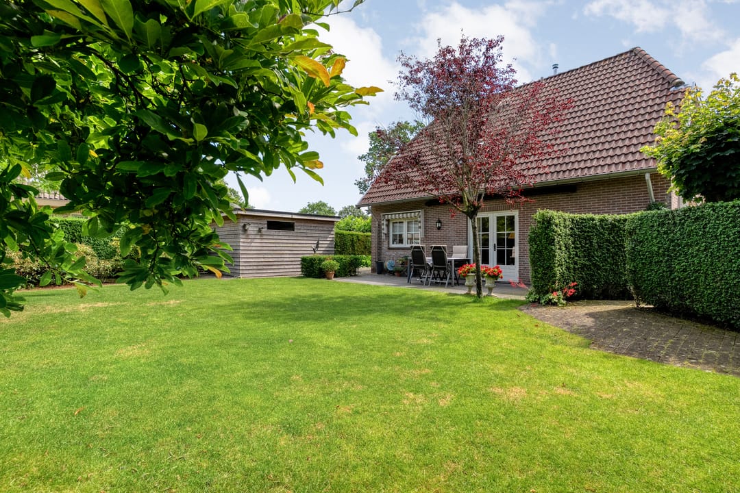 Photo 62 of Goudplevier 2