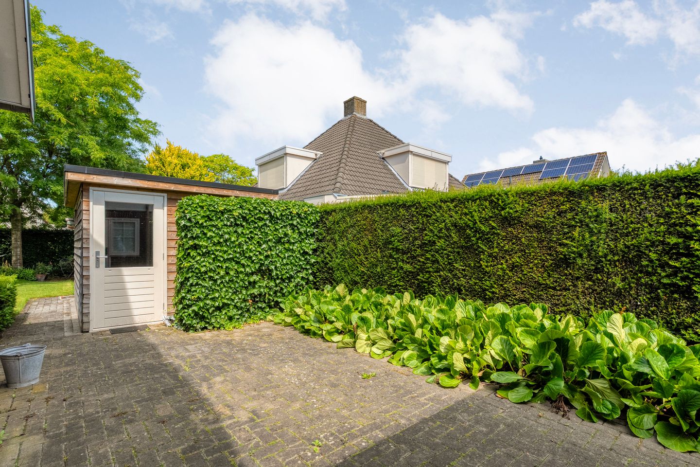 Photo 55 of Goudplevier 2