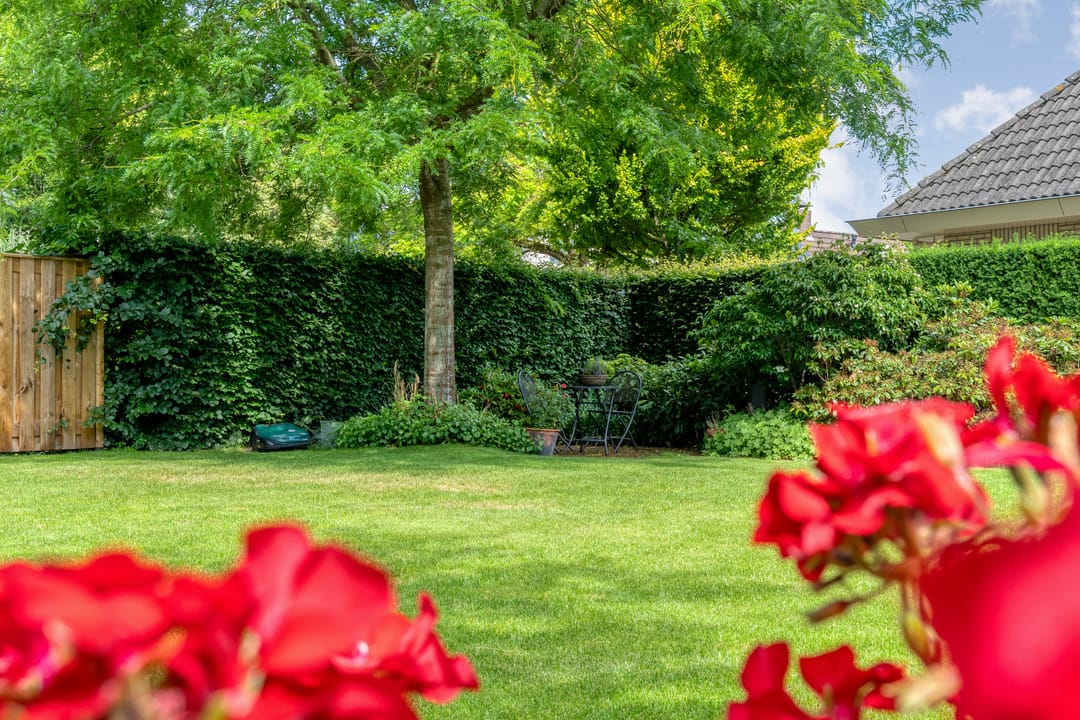 Photo 58 of Goudplevier 2