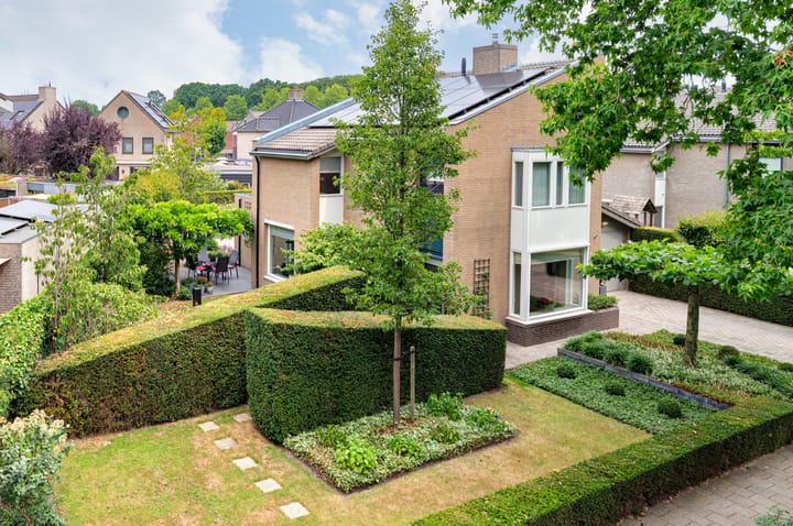 Photo 4 of Buizerd 41