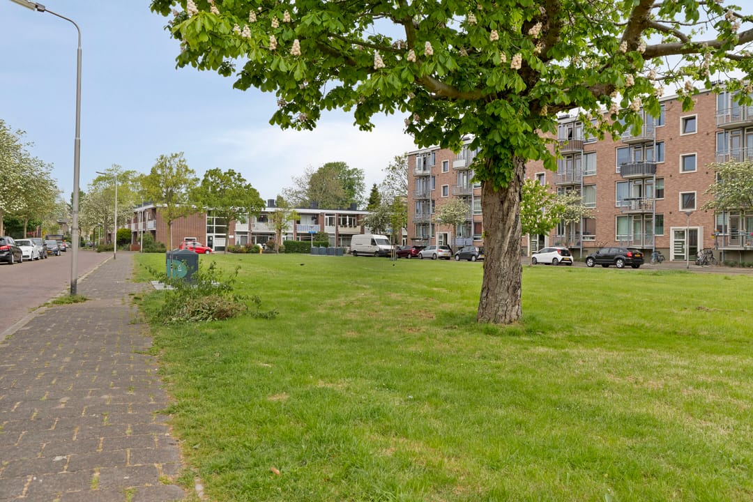Photo 38 of Van Adrichemstraat 319