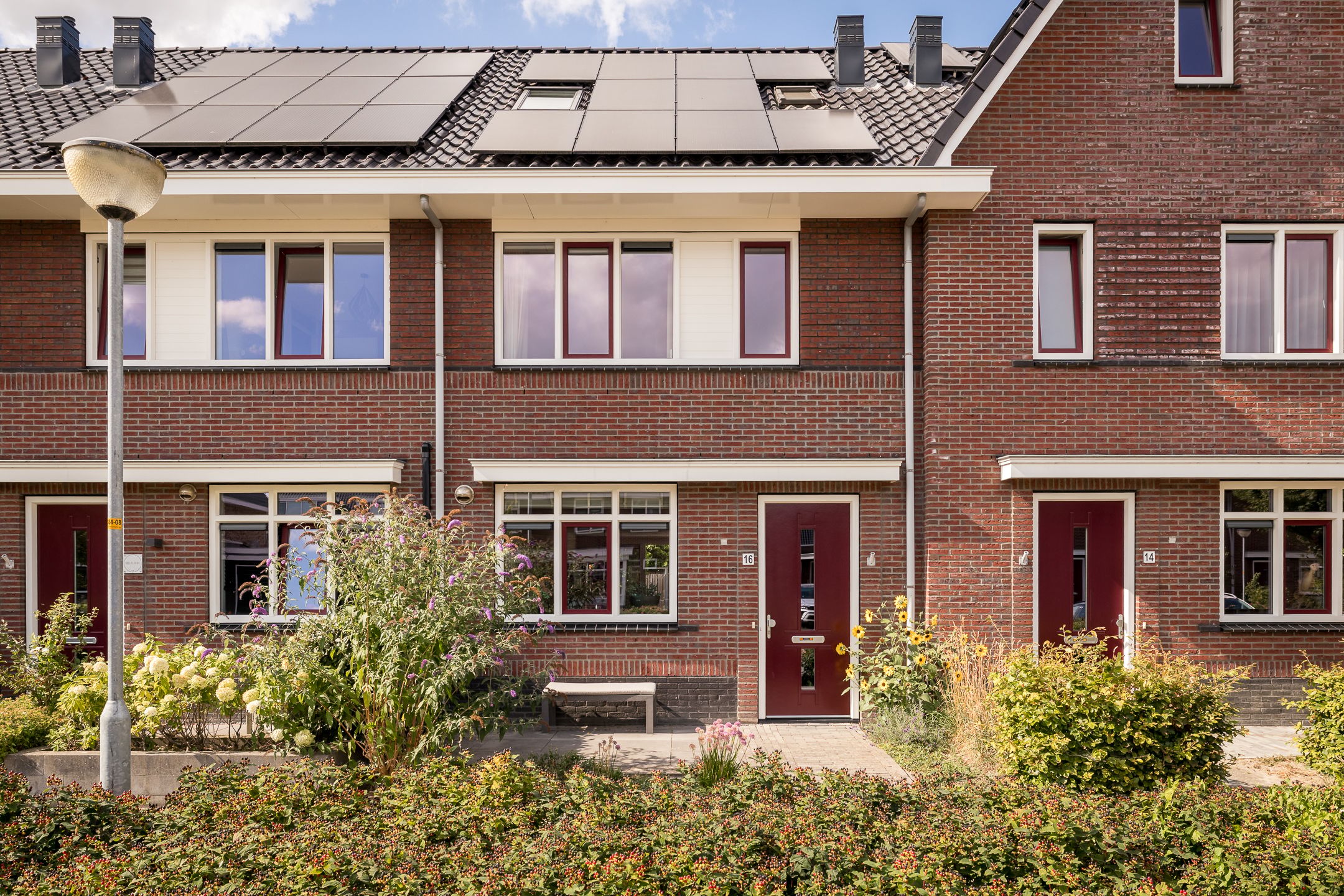 Groenling 16