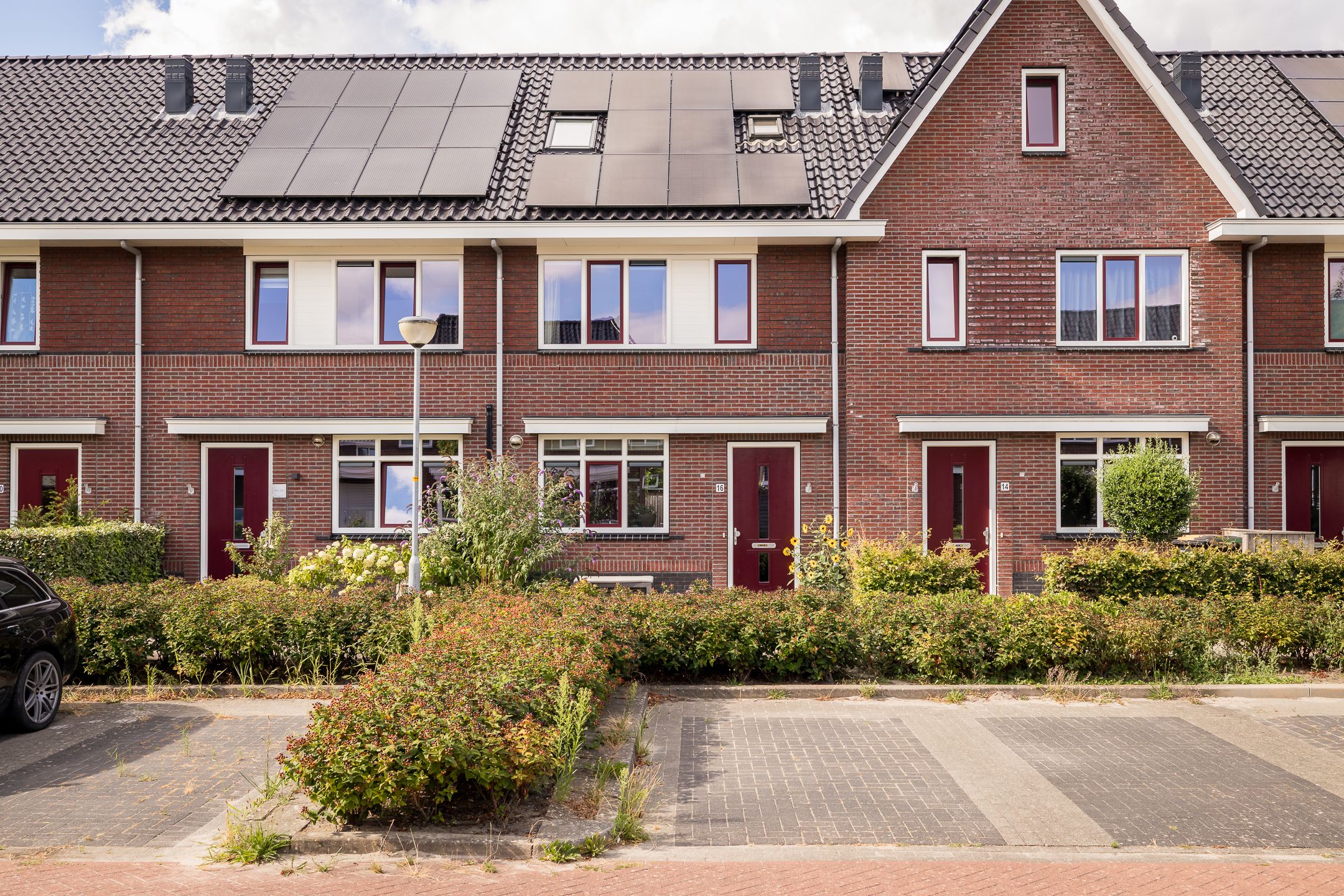 Photo 36 of Groenling 16
