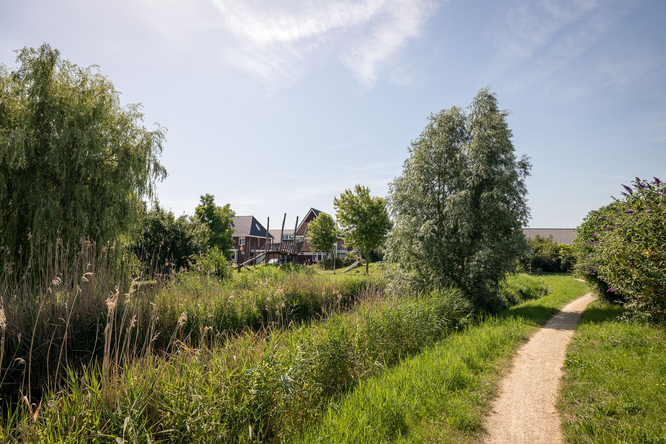 Photo 42 of Groenling 16