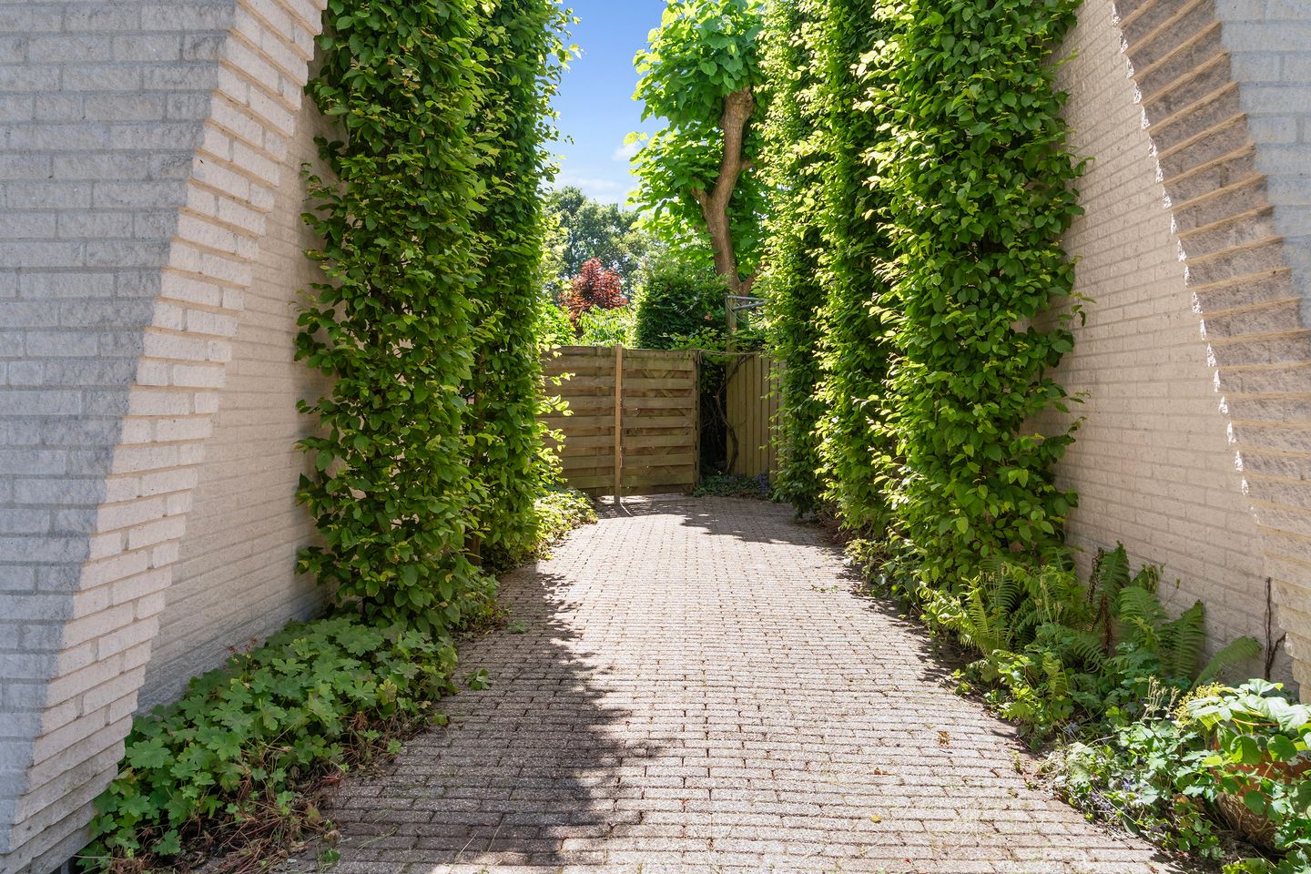 Foto 44 van Troelstrapark 18