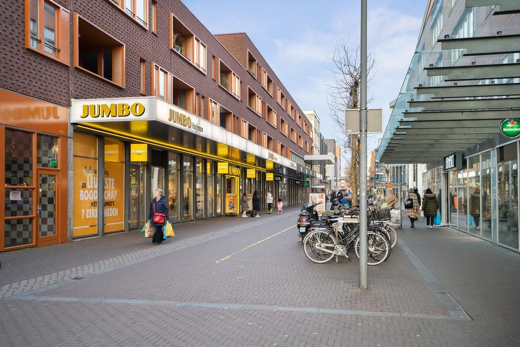 Foto 42 van Mies van der Rohestraat 29