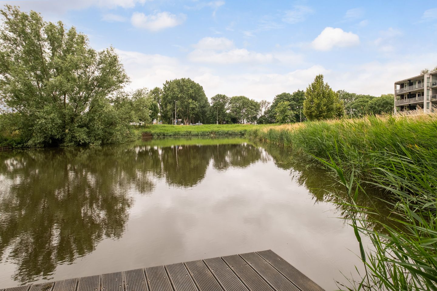 Foto 4 van Thorbeckelaan 101