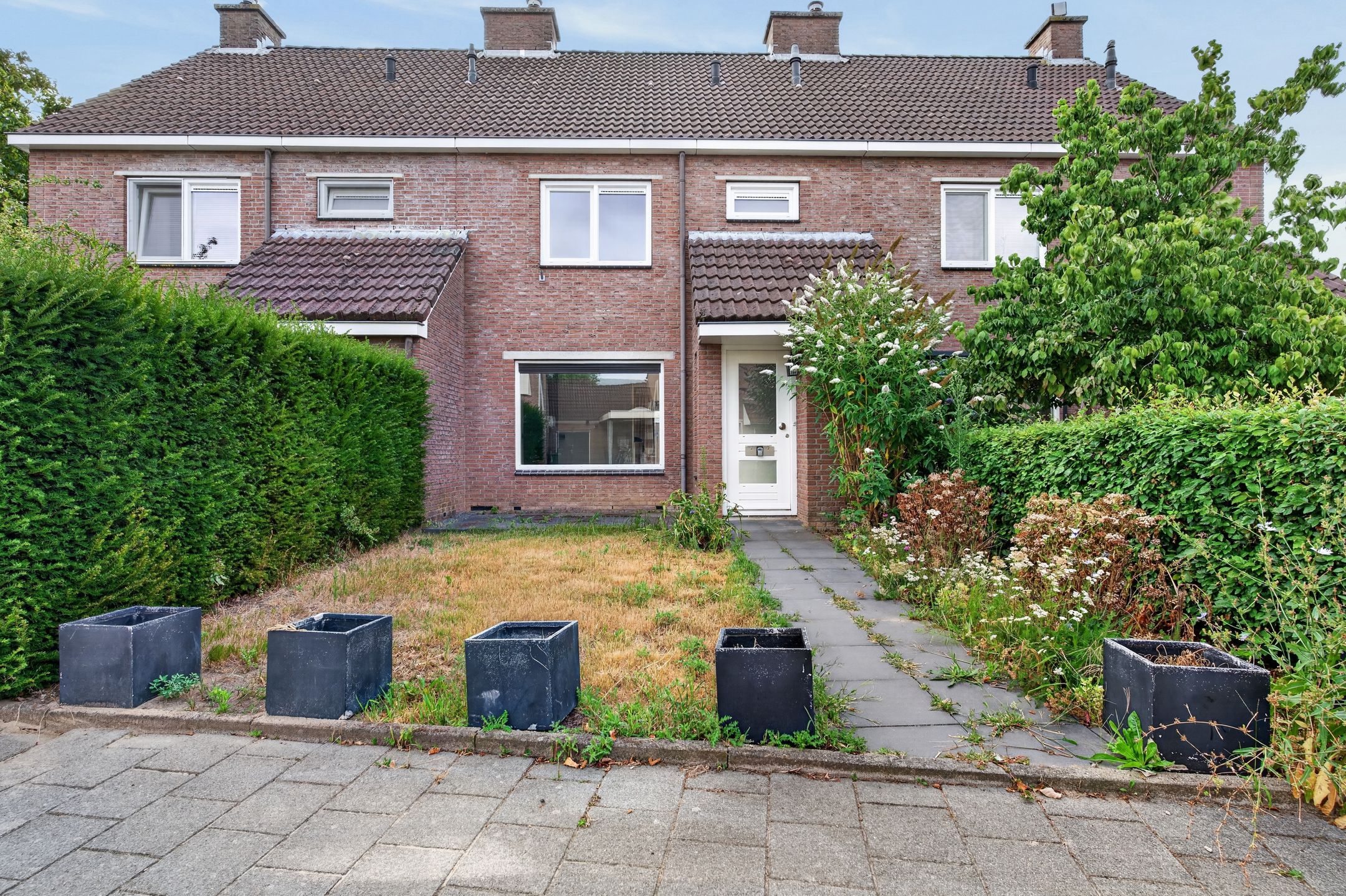 Steffenberg 23