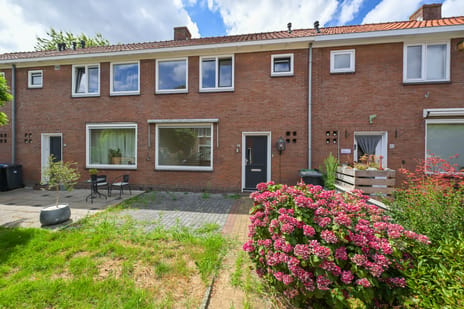 Cederstraat thumbnail