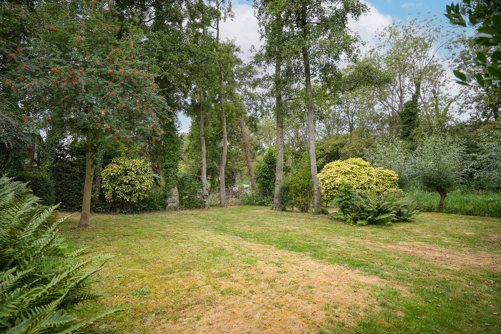 Foto 48 van Schimmelpennincklaan 21