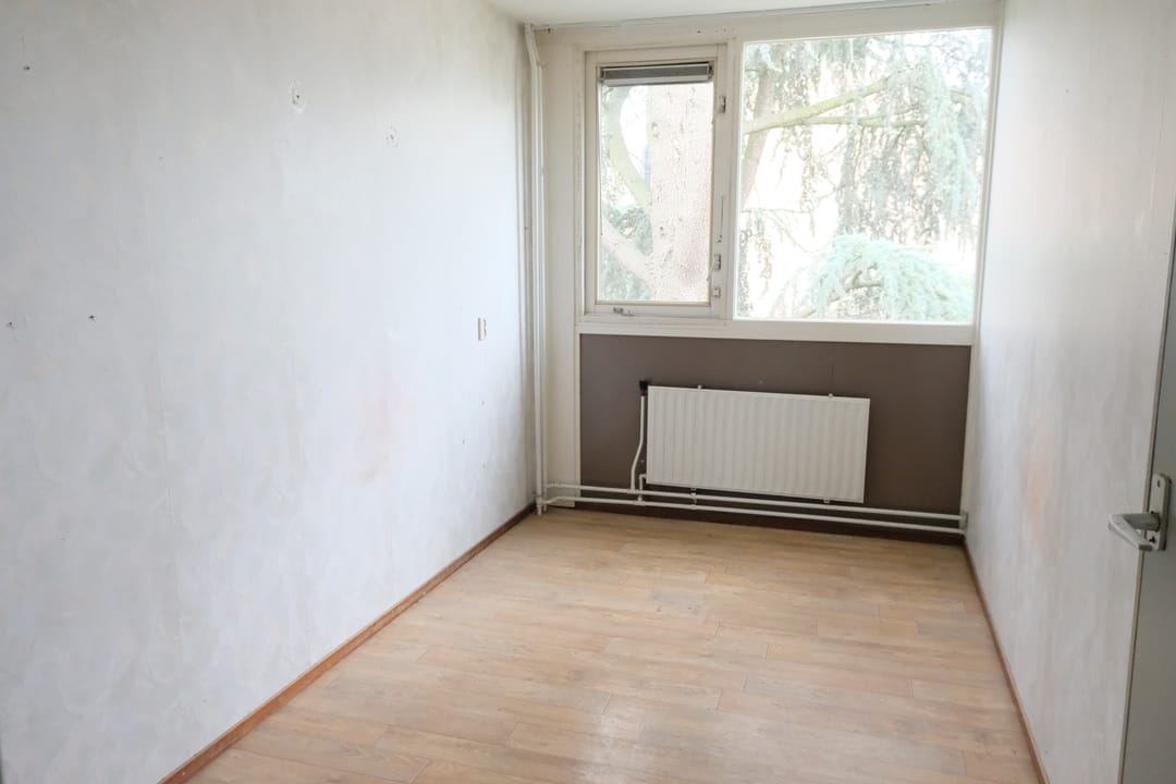 Photo 7 of Valeriaan 77